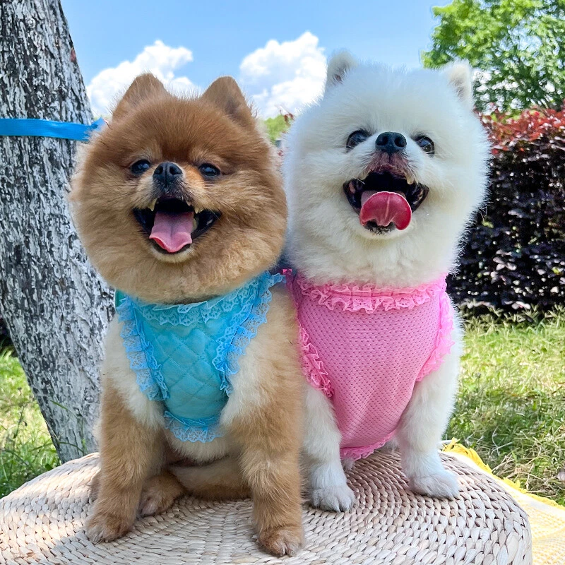 Dog Harness and Leash Set Breathable Soft Vest Harness for Small Pet Cat Puppy