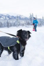 RC Pet Products Quilted Nimbus Puffer Dog Coat Jacket Graphite Lime SZ 28”/Large