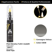 Touch Up Paint for Fleet Benelux All Models Cod: 3007T Gold Tops