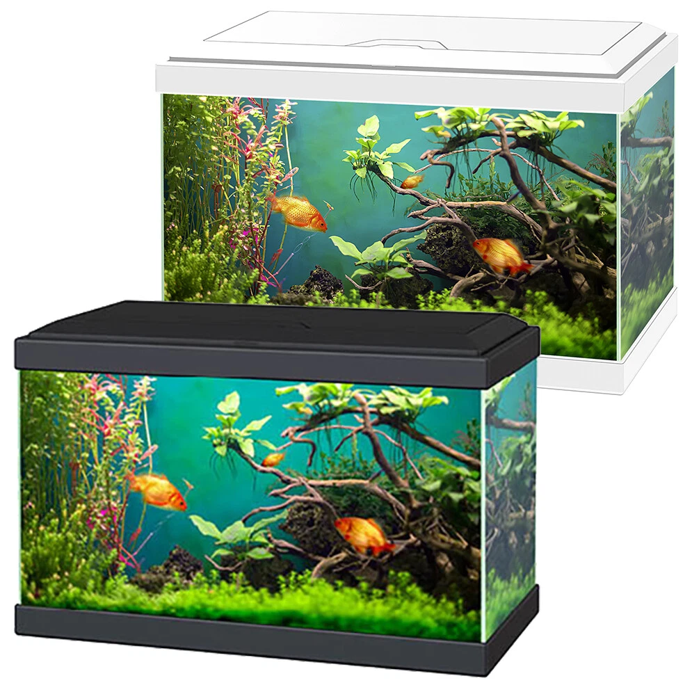 5 Best 20 Gallon Fish Tank Kits for Beginners (Updated 2024)