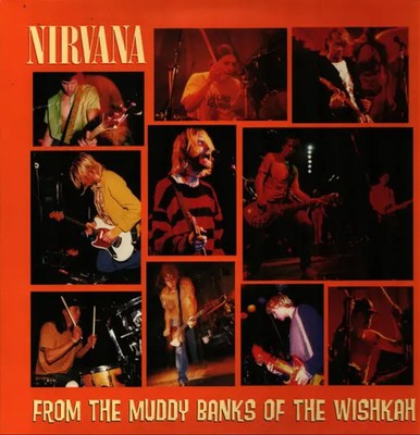 Nirvana From The Muddy Banks Of The Wishkah 180G NEAR MINT DGC 2xVinyl LP