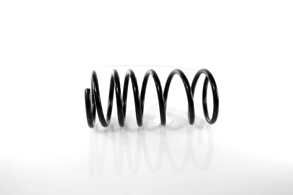 2x Coil Springs Rear Right and Left for Chrysler 300M 1998-2004 — 第 3/4 张图片