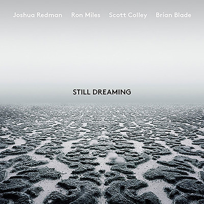 CD - Still Dreaming (Feat. Ron Mile - Joshua Redman