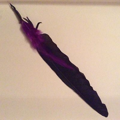 KRÄHENFEDER KIELSTIFT. Magie, Zauber, Kostüm, Theaterrequisiten. Echte Feder oder Biro