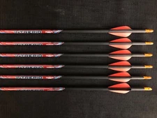 Black Eagle Intrepid 500 .006 Fletched Youth Field Arrows (6 Arrows) BRAND NEW