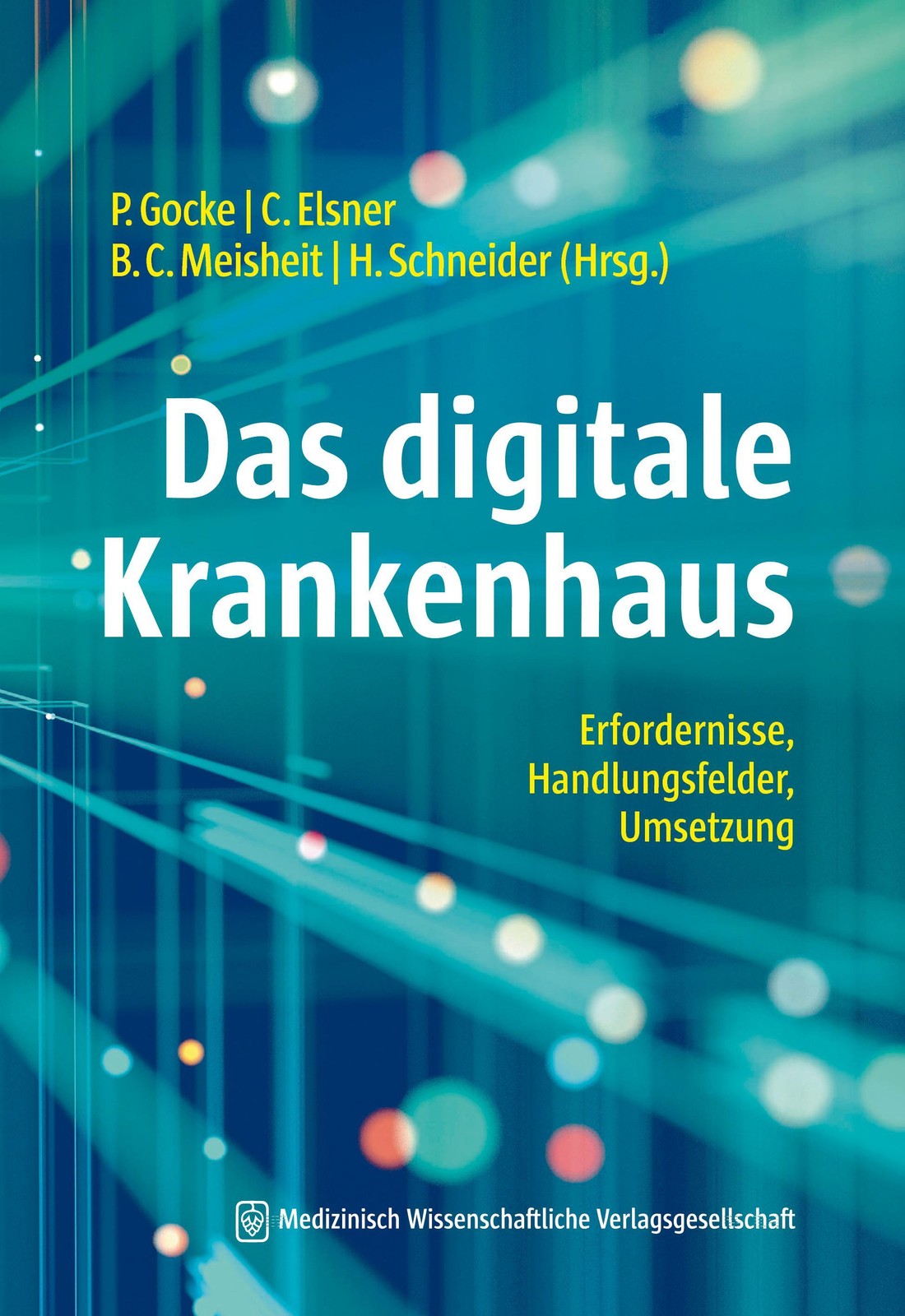Das digitale Krankenhaus Bernd Christoph Meisheit