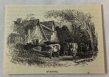 1876 magazine engraving ~ COWS IN FRONT OF A HOUSE IN THE EVENING
