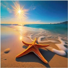Tile Mural Seascape Beach Sea Starfish Kitchen Bathroom Shower Wall Backsplash