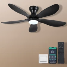 44" Ceiling Fan with Lights Remote/APP 6 Speeds 5 Reversible Blades Black