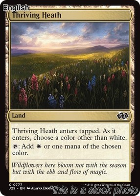 Thriving Heath [J25 - 777]