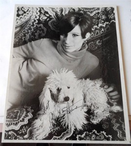 Barbra-Streisand-amp-original-dog-SADIE-Vintage-8x10-B-amp-W-Photograph-on-cardboard