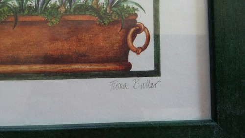FIONA BUTLER "SPRING BULBS" (CROCUS PURPLE FLOWERS) GREEN FRAME PRINT - Picture 3 of 6