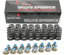 Brian Tooley BTR .560" Lift Drop-In Beehive Spring Kit for GM Trucks SUVs