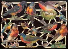 VICTORIAN STYLE DIE CUT PAPER SCRAPS MIXED BIRDS ef7281 GERMANY