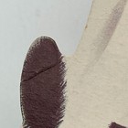 Bild 7 von 12