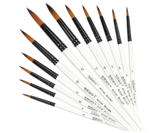 12 PCS Round Paint Brushes Set, Artist Brush for Watercolor