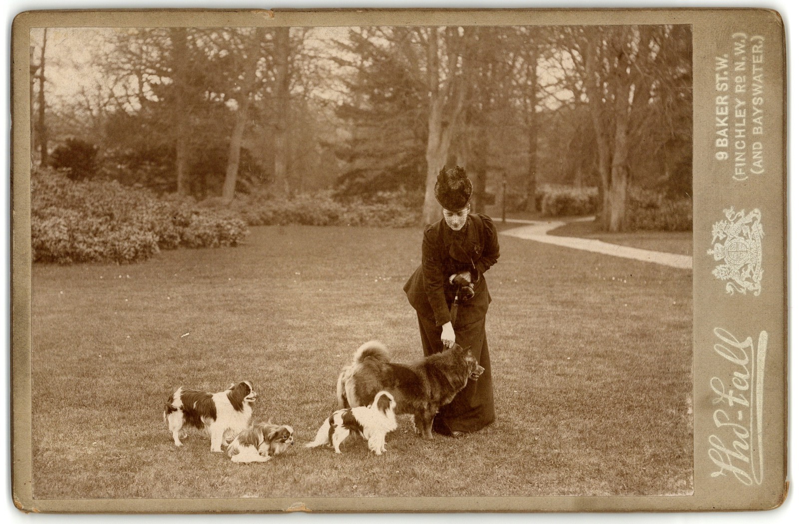 Cabinet Card Circa 1890s Princess of Alexandria With Her Four Dogs London UK