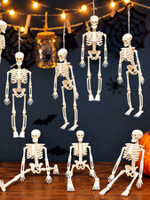 6pcs Mini Skeleton Figurines Hanging D cor 5.5 Inch Realistic Plastic Skeleton