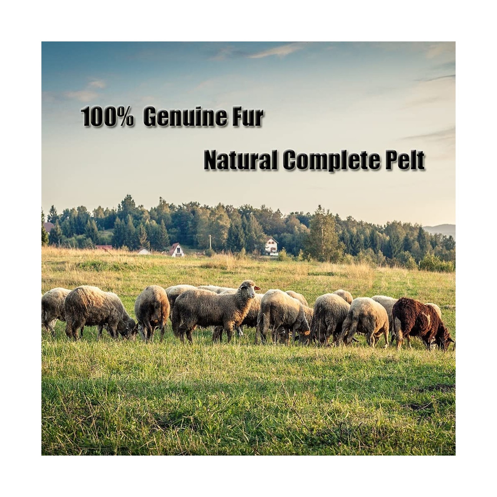 Real Genuine Sheepskin Seat Covers for Cars SUV Trucks Van RV Front Seats She... thumbnail 7