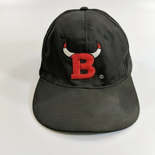 Vintage Chicago Bulls NBA \u0026 Apple 