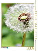Calvendo Puzzle Dandelion | 2000 Pieces, Finished Size 35.4 × 26.4 In (90 × 67 C