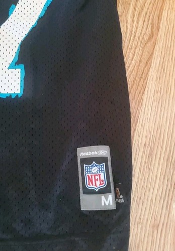 Reebok Jake Delhomme Carolina Panthers Jersey Youth Size Medium 10-12 - Picture 2 of 11