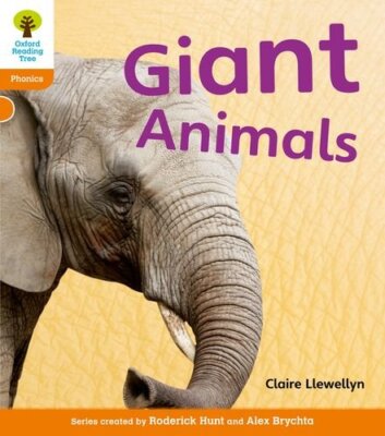 Oxford Reading Tree: Stage 6: Floppy's Phonics Non-fiction: Gian