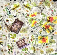 MALAISIE collections de 50 à