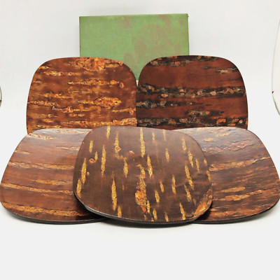 Japanese Wooden Coaster 5PC Set Rectangle Plates Cherry Bark Sakura Kabazaiku C7