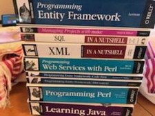 PC PROGRAMMING LOT OF 9 BOOKS Perl XML SQL Framework Code Java More O'reilly