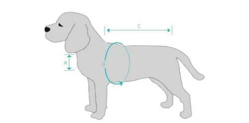 Buster Dog Rain Coat