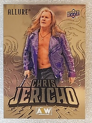 #13 CHRIS JERICHO 2024 Upper Deck AEW Allure BASE SILVER THE LEARNING TREE