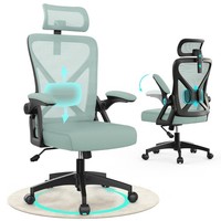 Ergonomischer BüRostuhl Mit LendenstüTze, Hochklappbaren Armlehnen, Schwarz