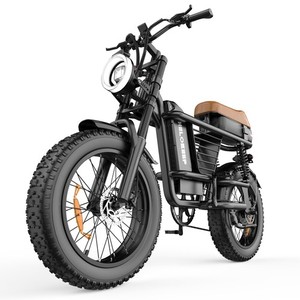 1500W Peak E-Mountain bike 20" Fat Tire 48V 15Ah for Adults Electric bike 28MPH