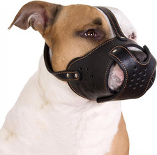 Dog Muzzle Pitbull Amstaff Basket Genuine Leather Staffordshire Terrier Black 