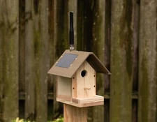 PeakMesh Birdhouse Solar Meshtastic® Radio Node RAK Wireless ALFA Antenna 21700s