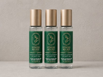 Bath & Body Works Stress Relief Perfume Mist Eucalyptus Spearmint - Lot Of 3