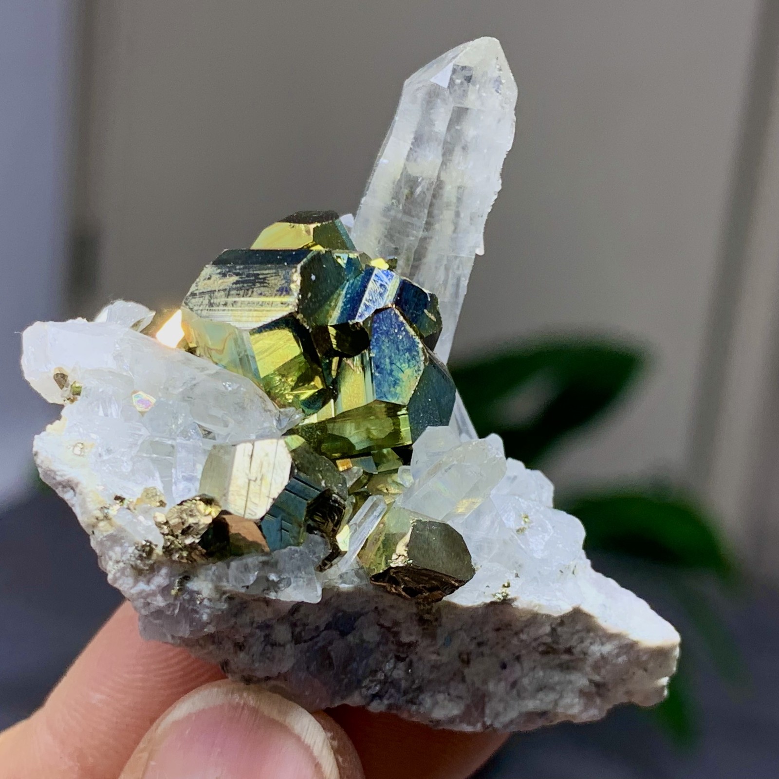 31G Natural colorful chalcopyrite clear Cluster coexisting crystal mineral-