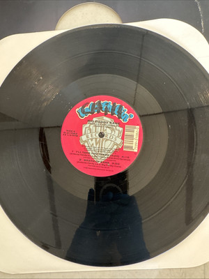 33 Rpm Vinyl Big Daddy Kane | eBay