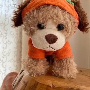 Plush Dog Toy in Pumpkin Costume