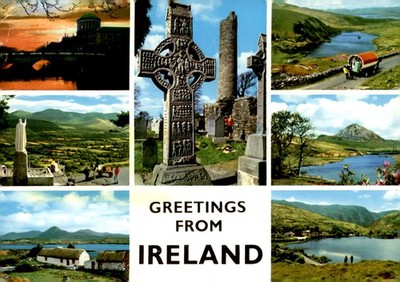 Ireland, John Hinde Studios, Shannon, countryside, cows, sheep, Postcard