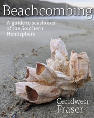 Beachcombing: Ein Leitfaden für die Küsten der südlichen Hemisphäre