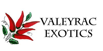 valeyracexotics