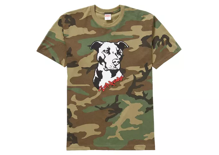 SS20 Supreme Pitbull Tee taille XL EXTRA LARGE Woodland Camo TNF BOITE LOGO 2020 NYC