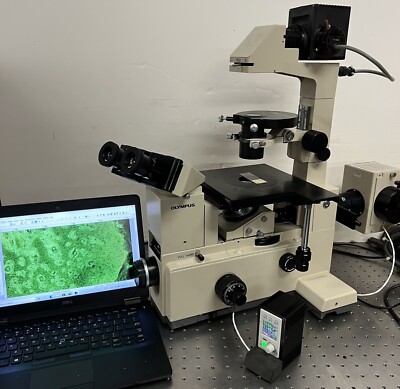 Olympus IMT-2 Upgraded Broadband LED  Inverted Fluorescence Phase Microscope