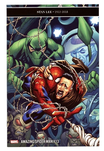 Amazing Spider-Man (5th Series) #13 NM 9.4 2019  Ryan Ottley Cover