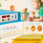 Bild 6 von 10