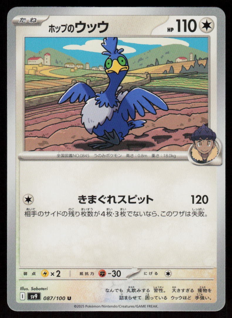Hop's Cramorant 087/100 Uncommon Battle Partners Pokemon Japanese Near Mint