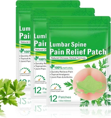 TRENDYFAVE 36PCS Wormwood Heat Pads for Back Pain Relief, 12H Keen Pain Relief Patchs, Heat