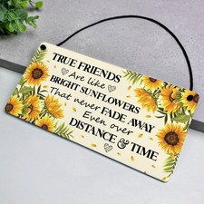 Best Friend Birthday Gifts for Women Acrylic Plaque Special Friend Present